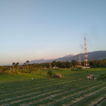 Villa Bintang Lovina  Bagian luar foto
