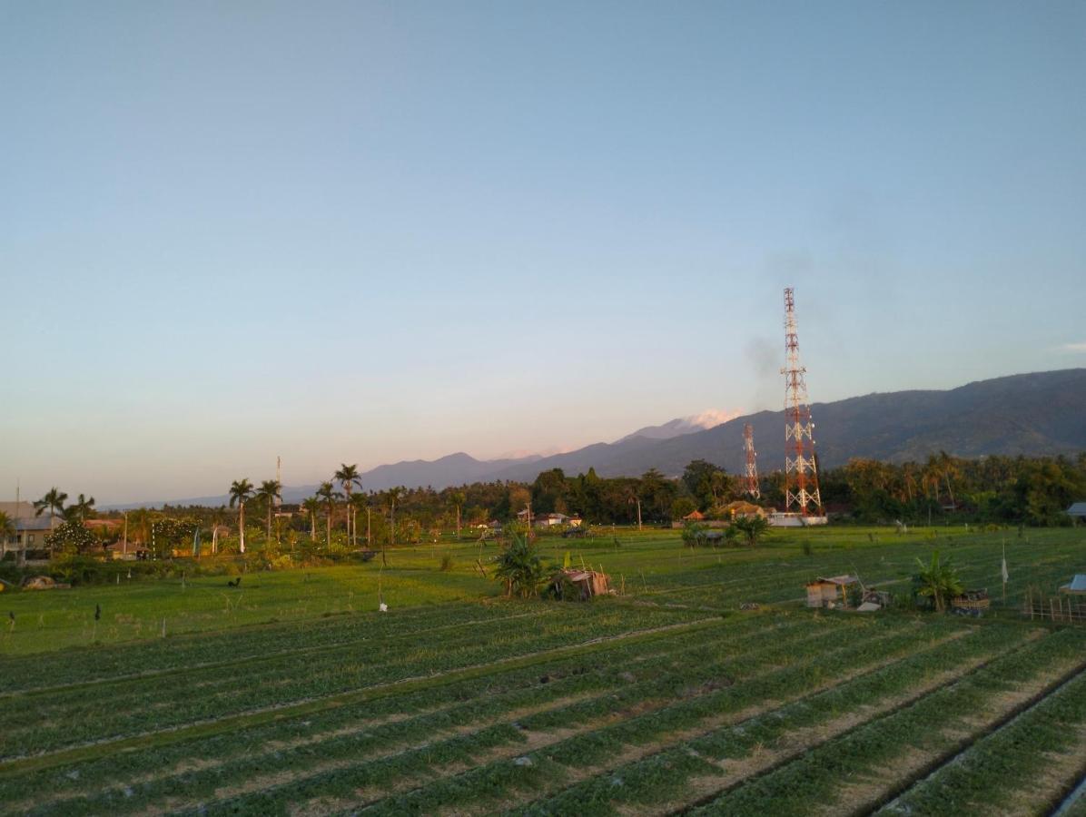 Villa Bintang Lovina  Bagian luar foto